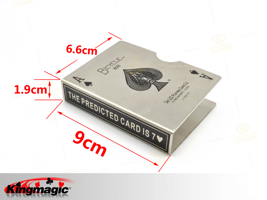 Steel Bicycle Card Protector (Silver) - Click Image to Close