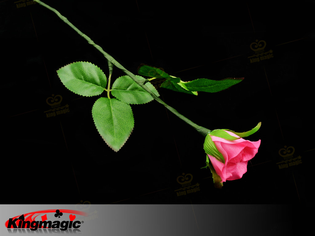 Lighting Rose (Magnetic Control) - Click Image to Close