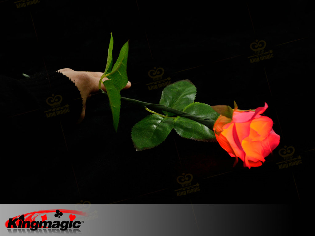 Lighting Rose (Magnetic Control) - Click Image to Close