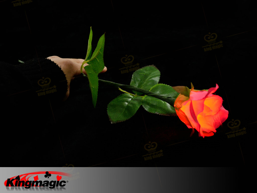 Lighting Rose (Magnetic Control)