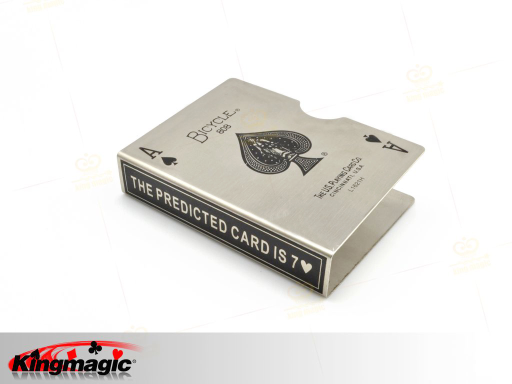 Steel Bicycle Card Protector (Silver)
